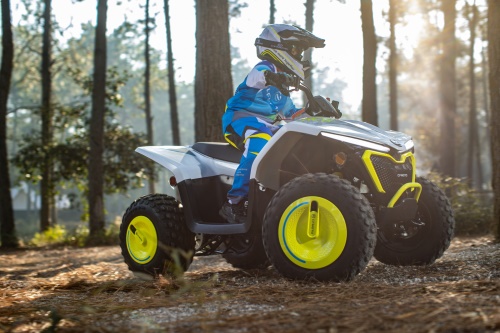 Gladiator EV110