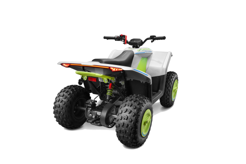 Gladiator EV110