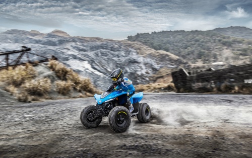 Gladiator X110 LE