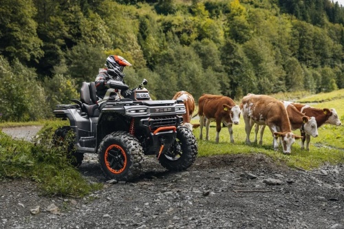 GOES Terrox 1000 limited T3b